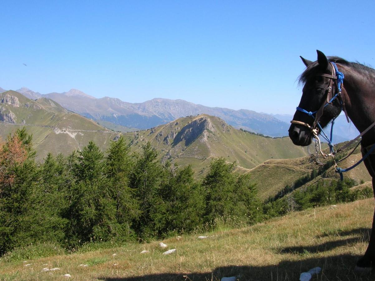 Lou Mas Dau Paigran Panzió Saint-Blaise  Kültér fotó